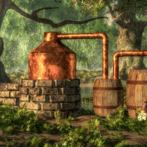Rustic Woods & Rum Fragrance Oil - The Fragrance Room