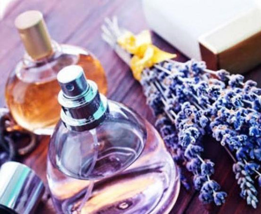 Smoked Amber & Lavender Musk Diffuser Oil Refill - The Fragrance Room
