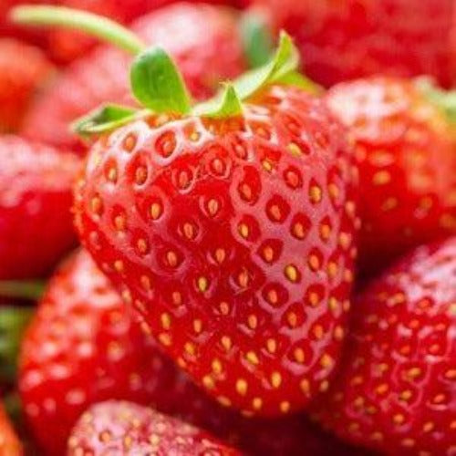 Strawberry Fragrance Oil - The Fragrance Room