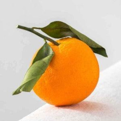 Sweet Orange Fragrance Oil - The Fragrance Room