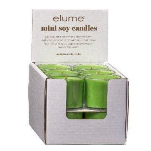 Thai Lemongrass Mini Soy Candles - The Fragrance Room