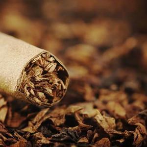 Tobacco Fragrance Oil - The Fragrance Room