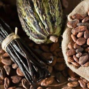 Vanilla & Cocoa Beans Fragrance Oil - The Fragrance Room