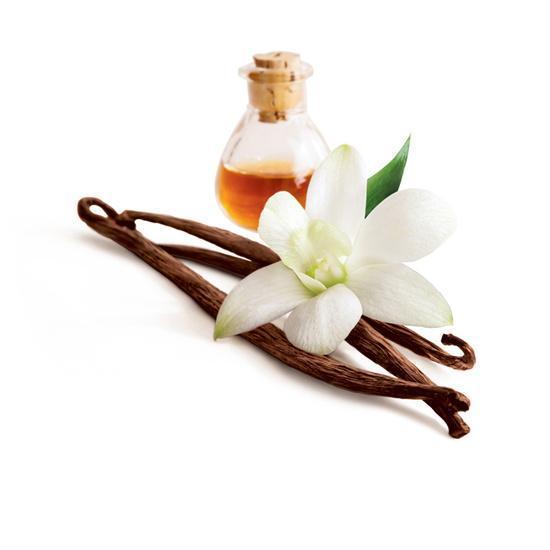 Vanilla Diffuser Oil Refill - The Fragrance Room