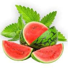 Watermelon Mint Diffuser Oil Refill - The Fragrance Room