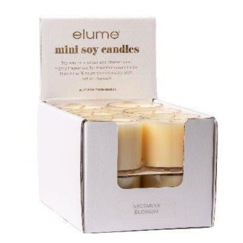 White Nectarine Mini Soy Candles - The Fragrance Room