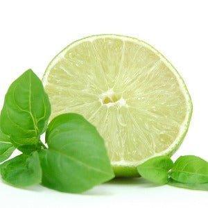 Wild Mint & Lime  Diffuser Refill - The Fragrance Room
