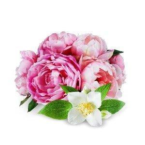 Wild Peony & Jasmine Fragrance Oil - The Fragrance Room